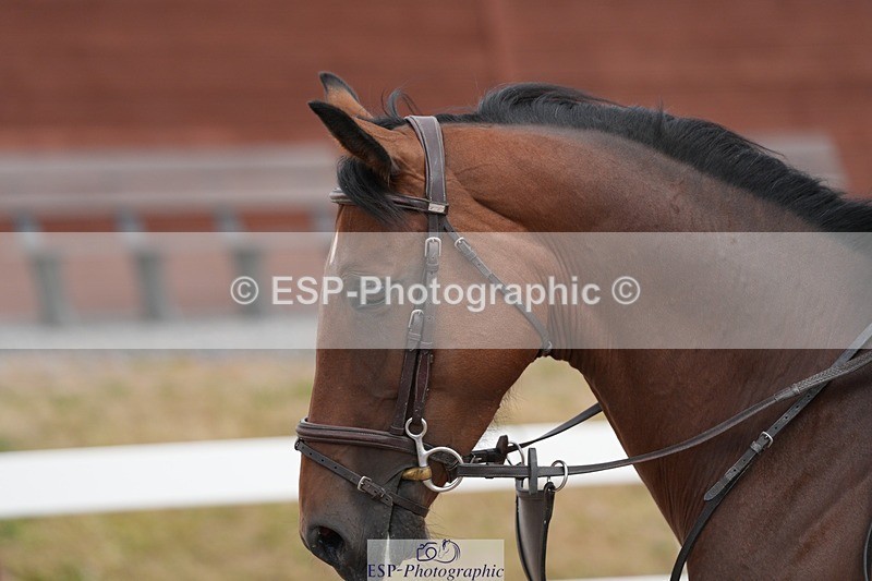 250715-161724-00094 - 70cm