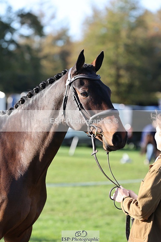 241027-092711-15307 - 457-Ella.Richardson-ASB.ABHAINN.GLEN