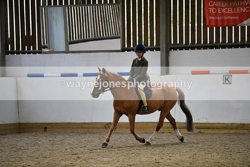 WJ5_7264 - Class 11 Ridden PC - RC Pony