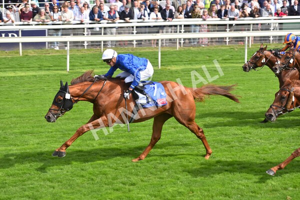 yr18082021r3-79 - Race 3 3.00pm Sky Bet Great Voltigeur Stakes