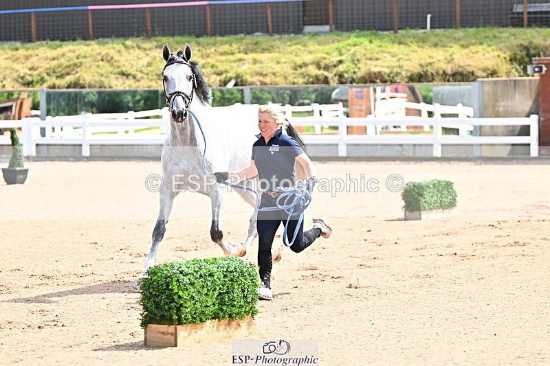 240718A-105236-00911 - Trot Up 11am to 12pm