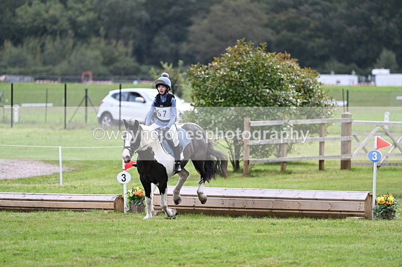 WJ7_9012 - 60cm Time 12:31 to 12:50