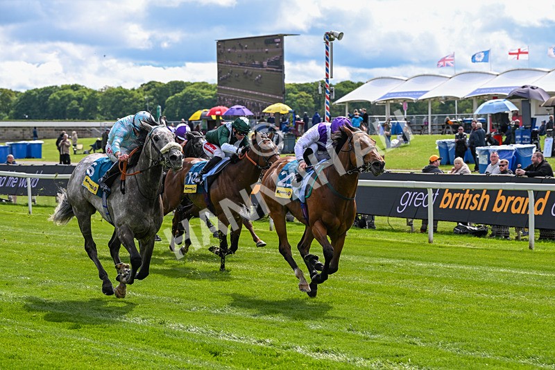130526-Race 3-Dark Thirty-2795 - Race 3 2.55pm Churchill Tyres Handicap