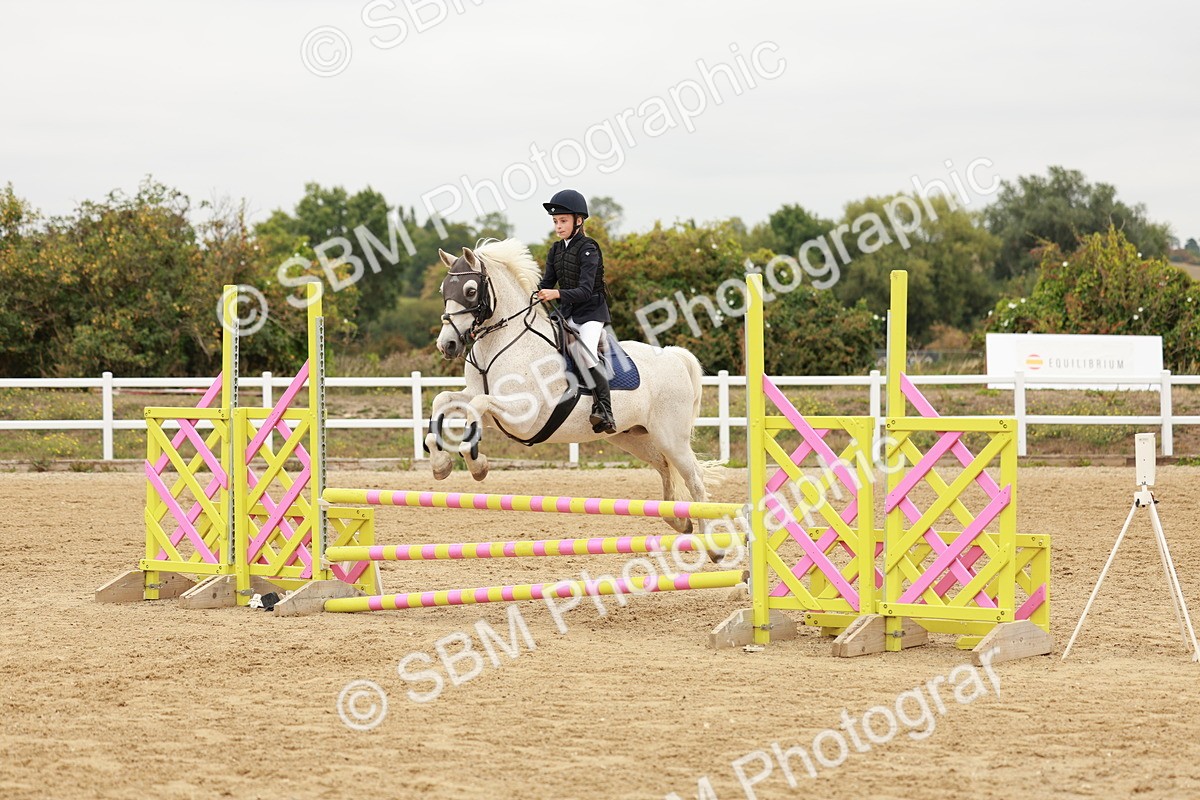 SBM_008328 - Class 5 - 80cm