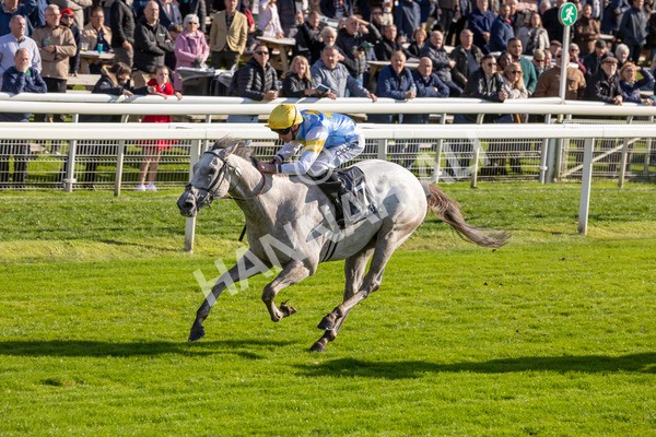 111024-Race 2-Mirabeau-6867 - Race 2 2.05pm British EBF £100,000 Final