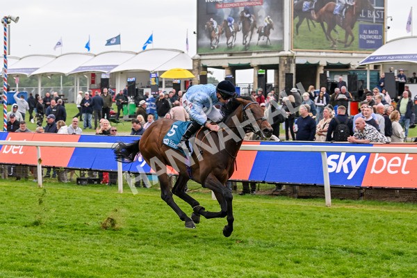 150525-Merchant-5334 - Race 7 5.25pm Haxby Handicap