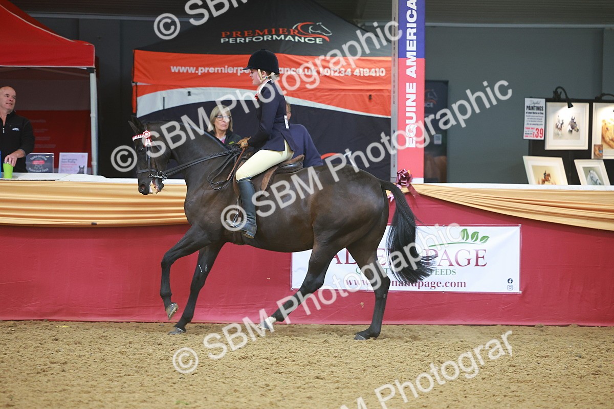 SBM_10552 - Class 103 - HOYS Veteran Qualifier - Ridden Pre Vet