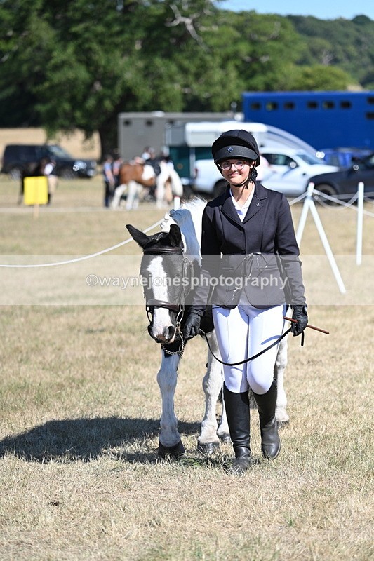 WJ7_1822 - Class 43 Best Six Legs (In hand)