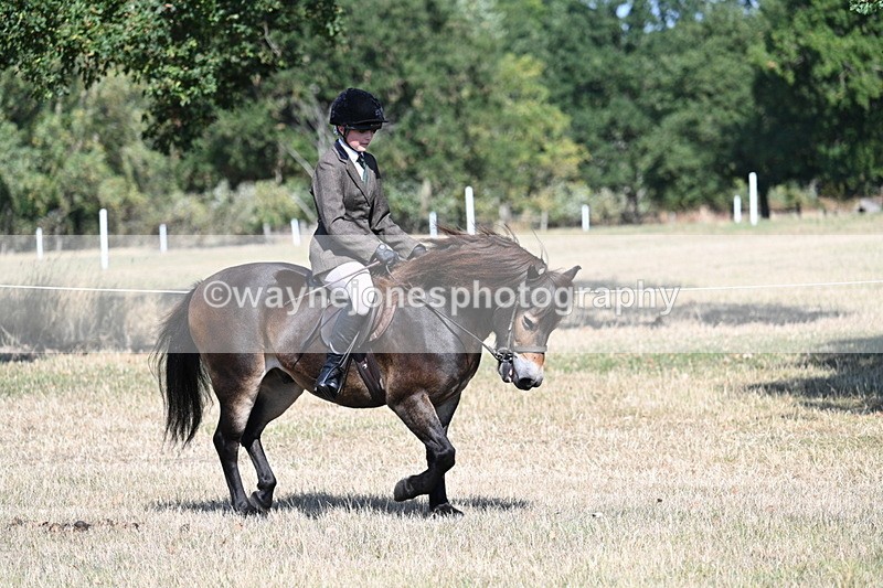 WJ7_3960 - Class 9 Mountain & Moorland Ridden