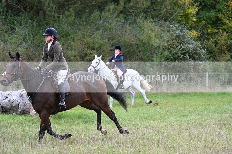 WJ7_3940 - Camera 1 Line 1