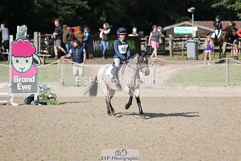 240823X-094857-14693 - 60cm R1 8.30 to 10.00