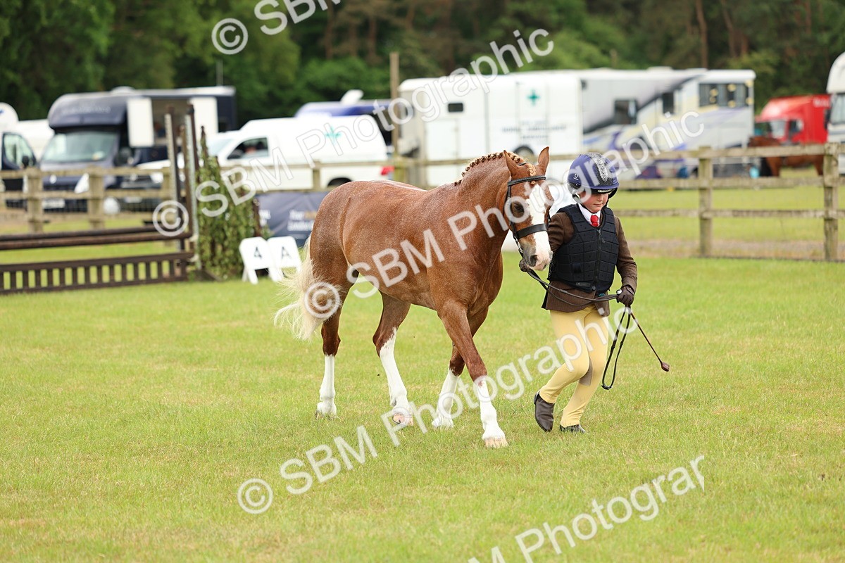 SBM_10289 - Class 44-45 - LIHS BSPS Open Nursery and Cradle Stakes