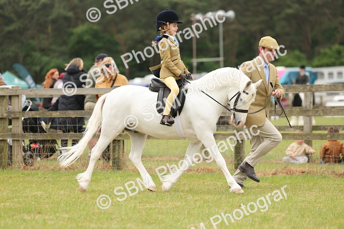 SBM_06707 - Class 74-75 - M&M Lead Rein and First Ridden Pony