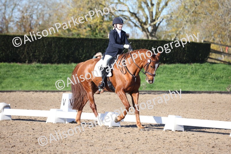 20251102-0528 - Class 3 - Novice 5