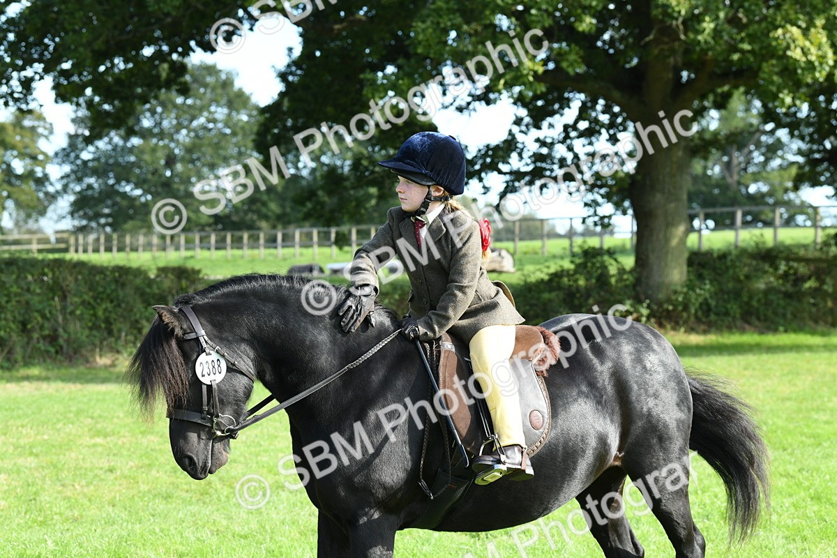 SBM_50459 - S21 - Novice & Newcomers 1st Ridden Pony