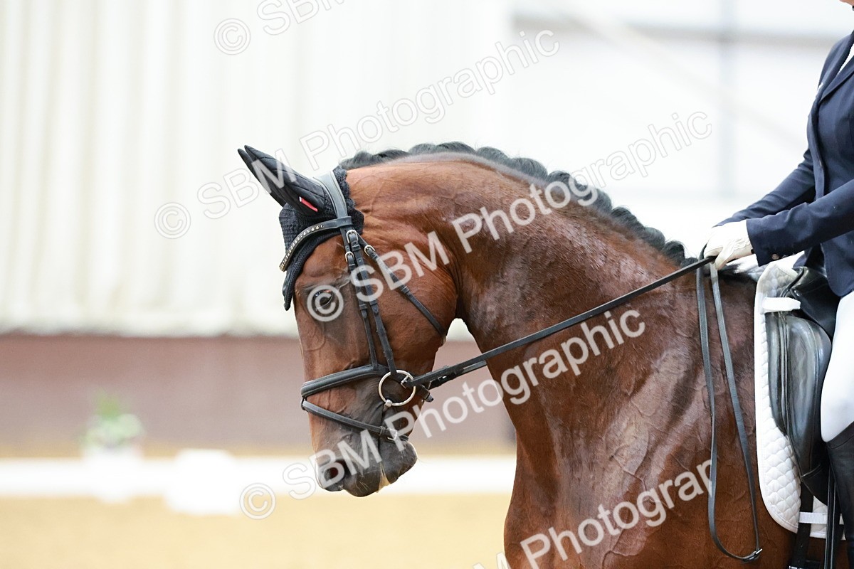 SBM_006049 - Class 3 - Medium 6 - 16.16-17.28