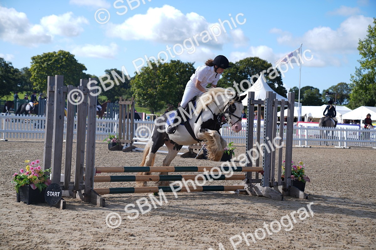 SBM_02361 - J54 Clear Round 45cm