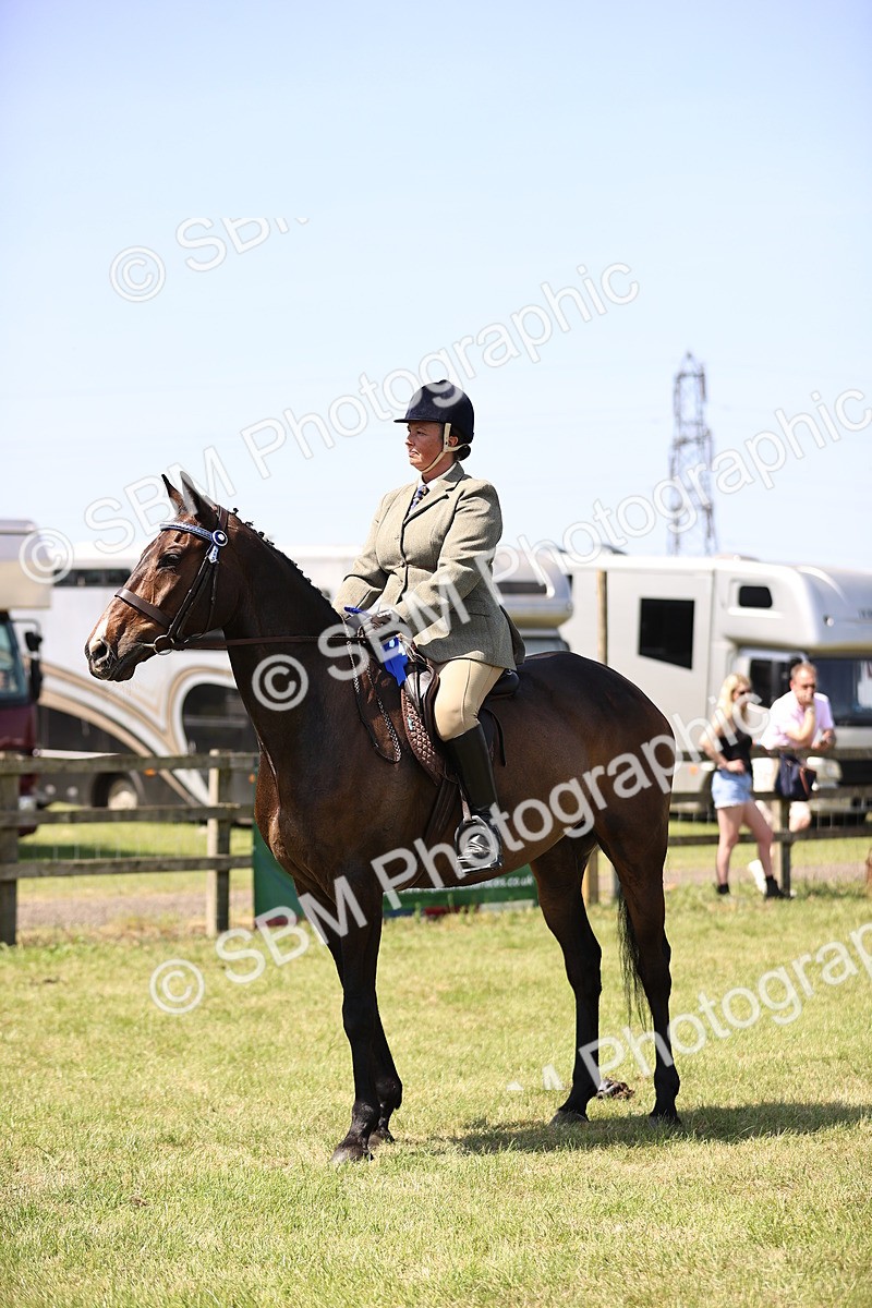SBM_14985 - Class 78 - LIHS BSHA Open Racehorse & Show Horse