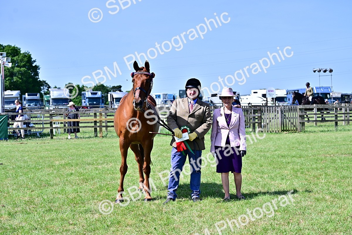 SBM_12871 - Class 98 - Retraining of Racehorse In Hand