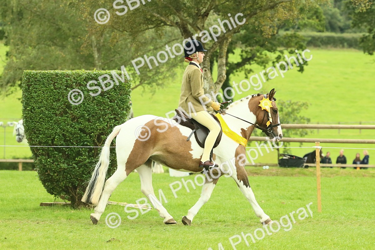 SBM_75000 - Ridden Pony Supreme Championship