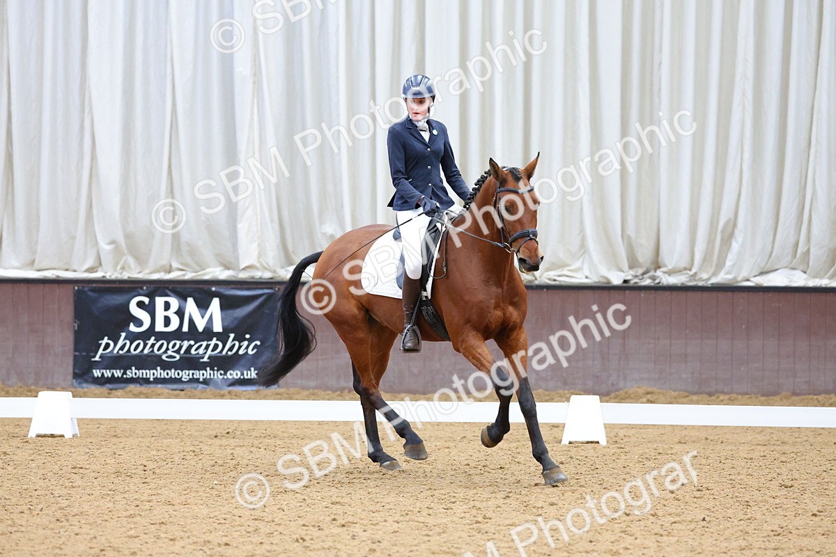 SBM_003146 - Novice