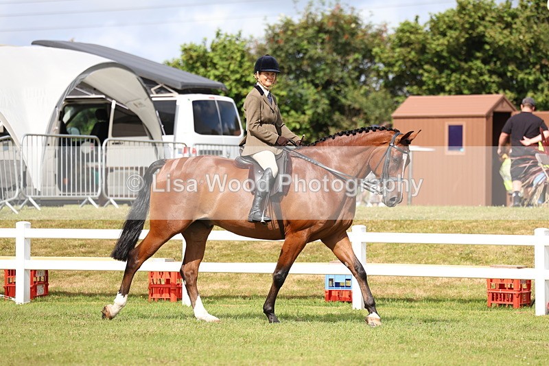 3E7A9253 - Class 4: Rising Star M/H Hunter