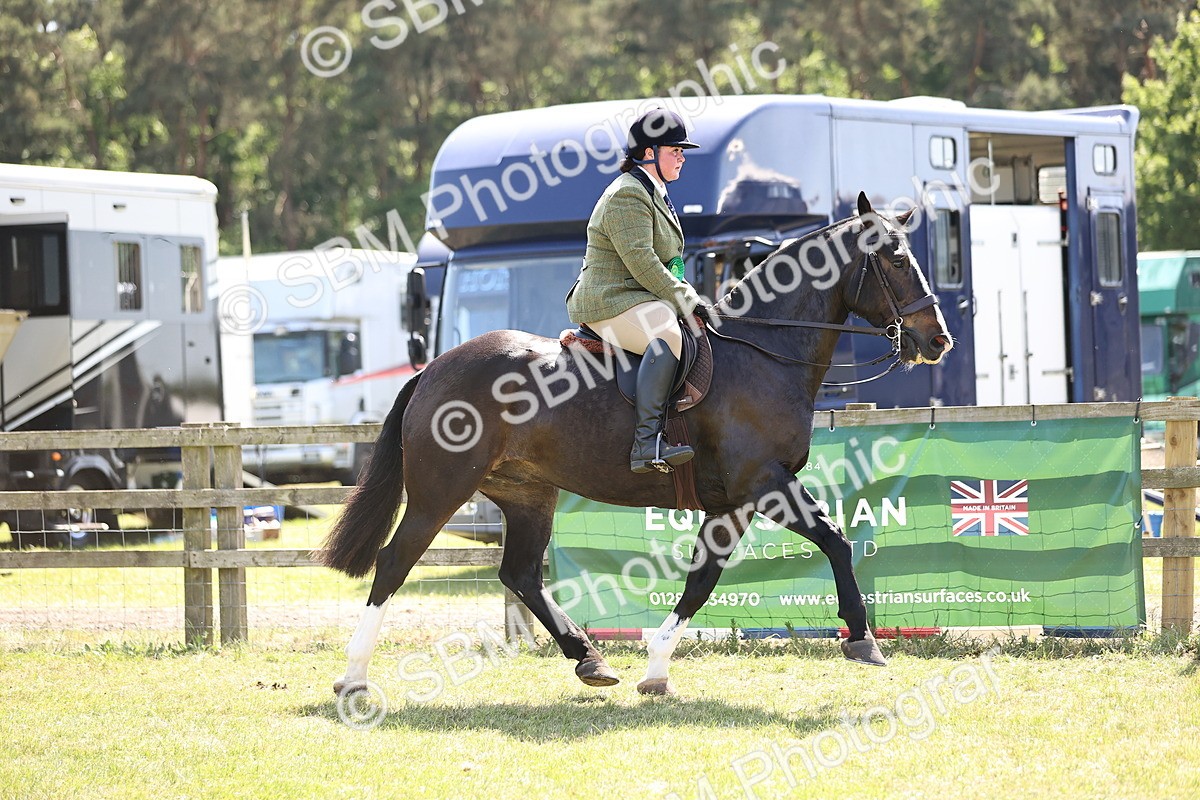 SBM_17963 - Class 81-83 - TSR Ridden Amateur of the Year - Horses