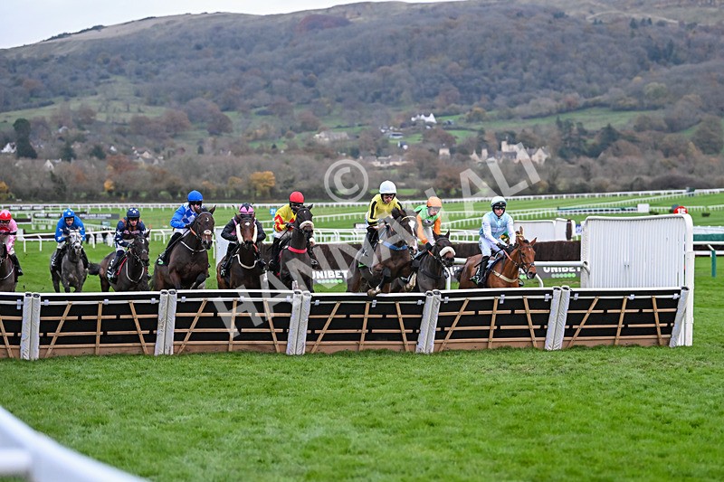 171124-Race 5-Burdett Road-4202 - Race 5