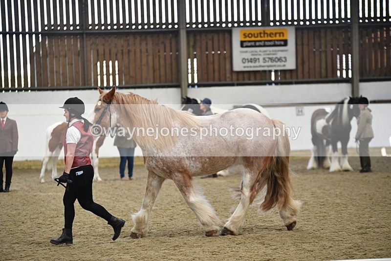 WJ5_4773 - Class 7 In hand coloured / odd coloured