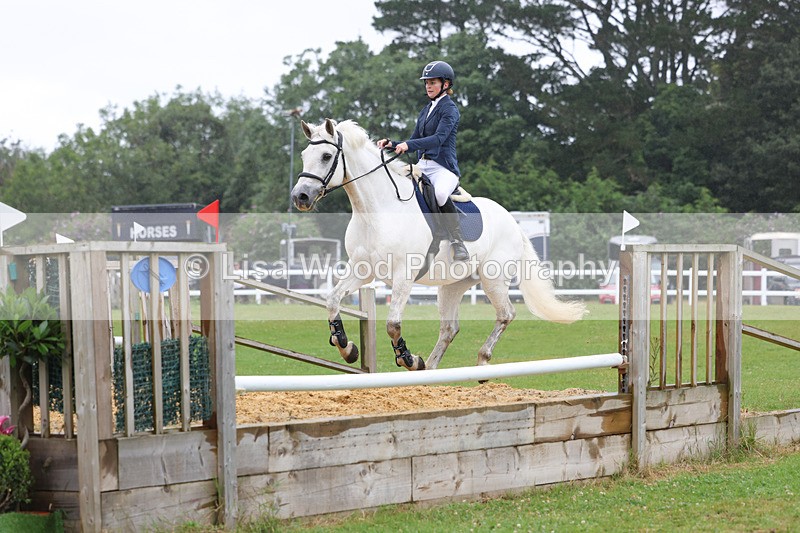 3E7A1213 - Class 5: 80cm open (A)