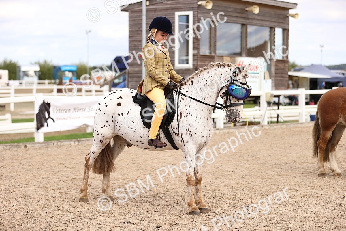 SBM_16157 - Class 420 - Horse-Pony Judge would most like to take home (IH or Ridden) Jnr