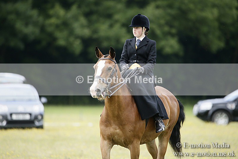 BVR160717-1576 - Side Saddle Classes 16/07/17
