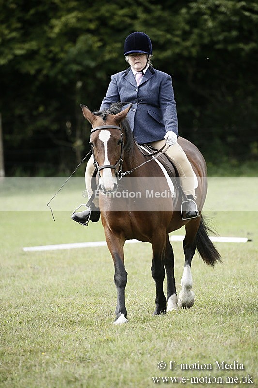 BVR080918 175 - BVRC Novice Dressage & CR 08/09/18