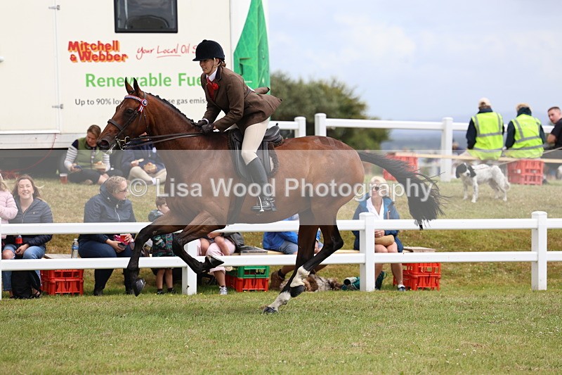 3E7A0993 - Class 8: Open Riding Horse/Hack