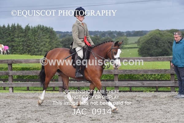 JAC_0914 - CHAMPIONSHIPS AND SUPREME