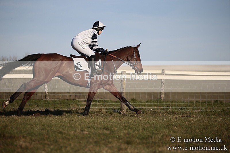 PtP 240218 673 - Vine & Craven Hunt Point-to-Point Barbury racecourse 24/02/18