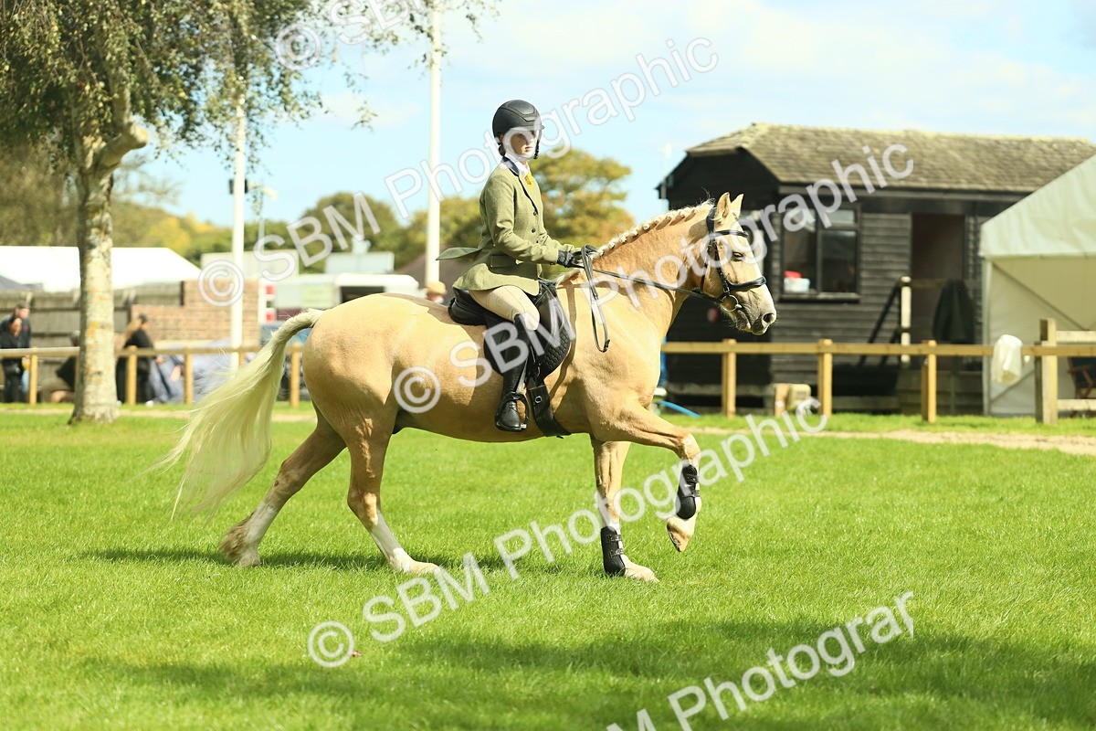 SBM_42115 - S29 - Novice & Newcomers Working Hunter Pony