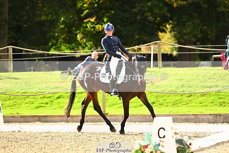 231020-142245-09930 - 307-WELLAN.GRAFFITI-Molly.Evans-DR