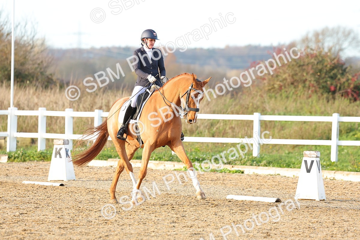 1I0A6251 - Class 11 - Medium 5