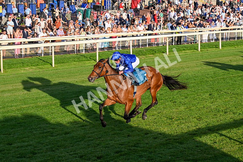 240726-Race 5-Diamond Rain-0556 - Race 5 19.50pm British EBF Lyric Fillies' Stakes