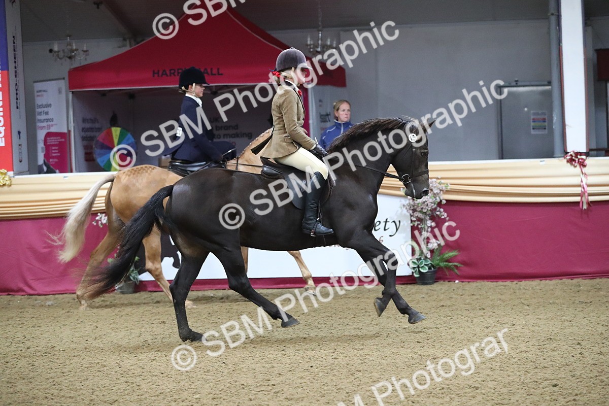 SBM_09278 - Class 101 Equitation (best rider), Junior