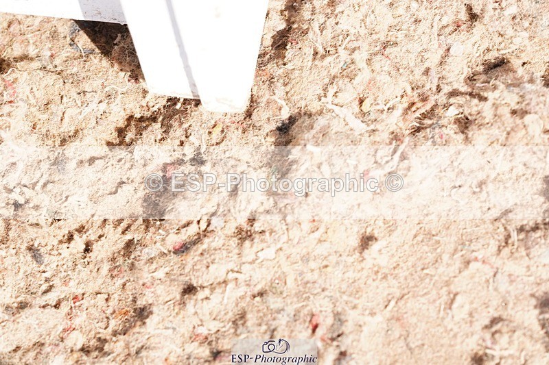 250510-091852-10029 - Cls 14 Snr 1.20m Open