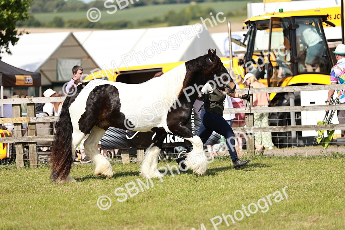 SBM_08760 - Class 63-65 - Traditional Gypsy Cobs In Hand & Ridden