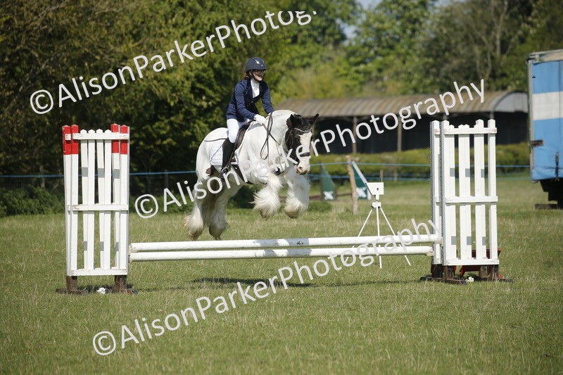 20250427-1995 - Class 13 - Novice Jumping 60cm