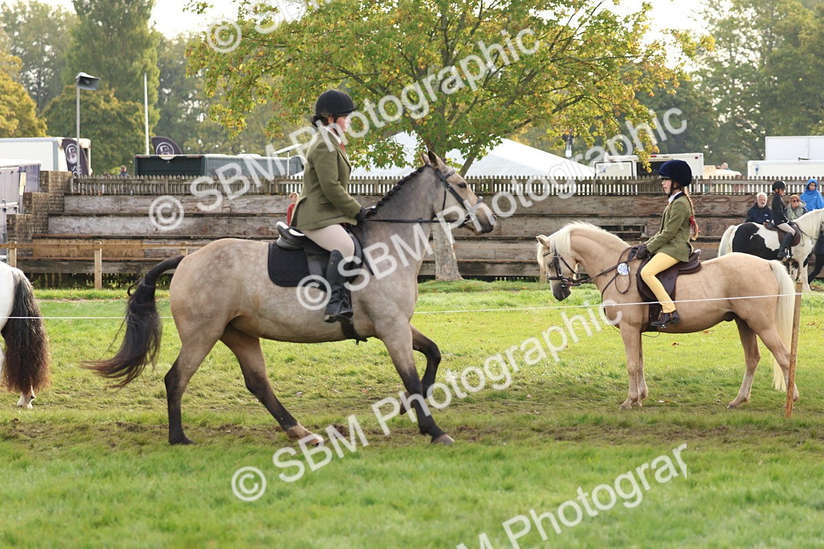 SBM_56597 - S40 - Starters Ridden Showing