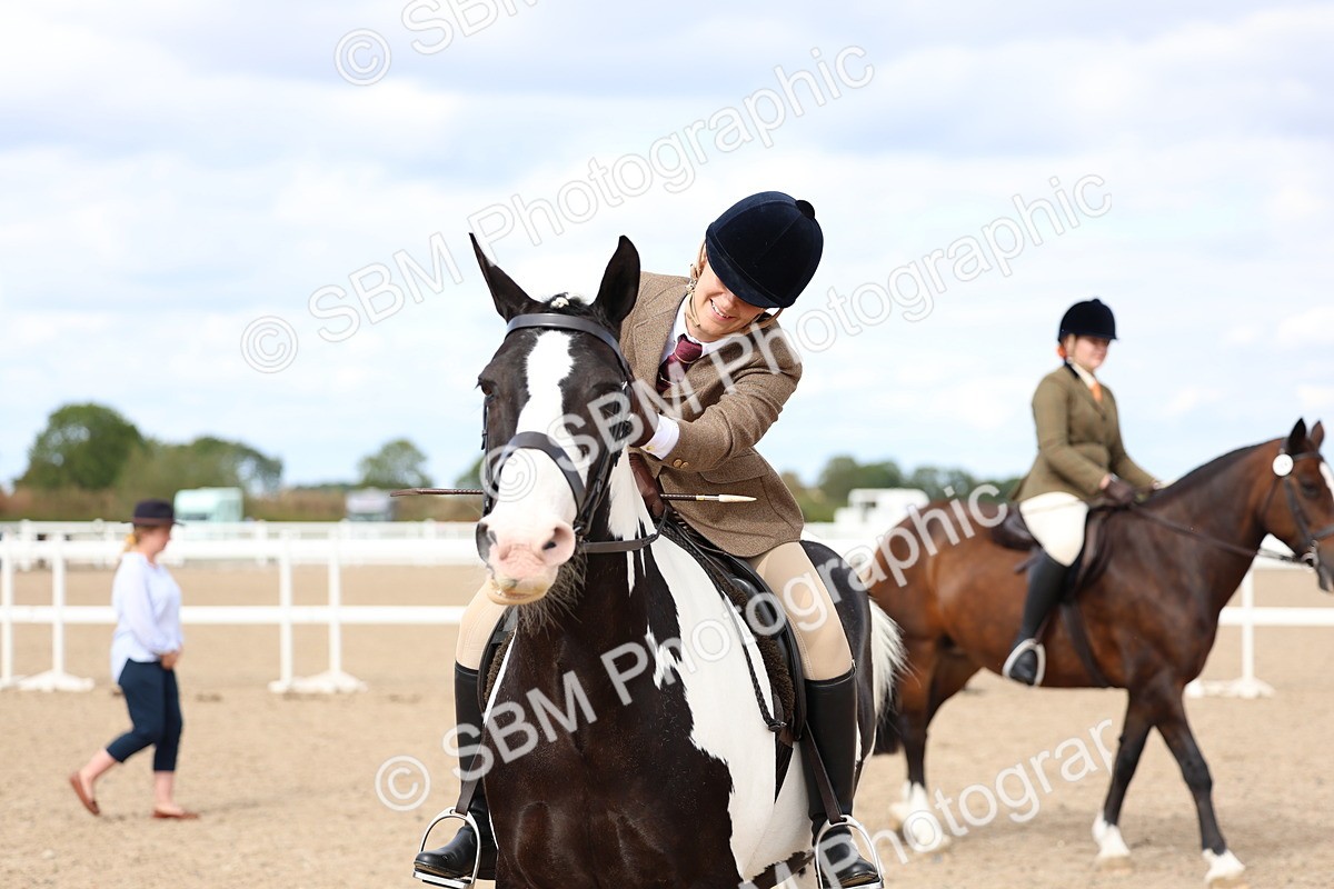 SBM_15857 - Class 314 - Family Horse - Pony