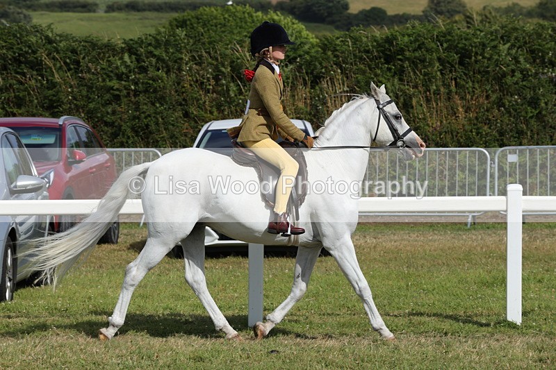1X9A5828 - Class 40: NPS Welsh A & B
