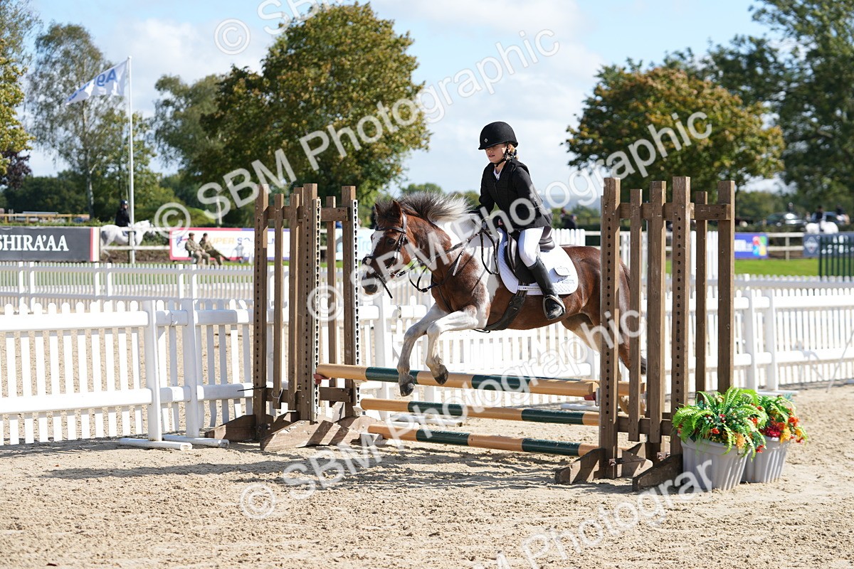 SBM_46570 - J7 - Junior Pony 60cm Championship