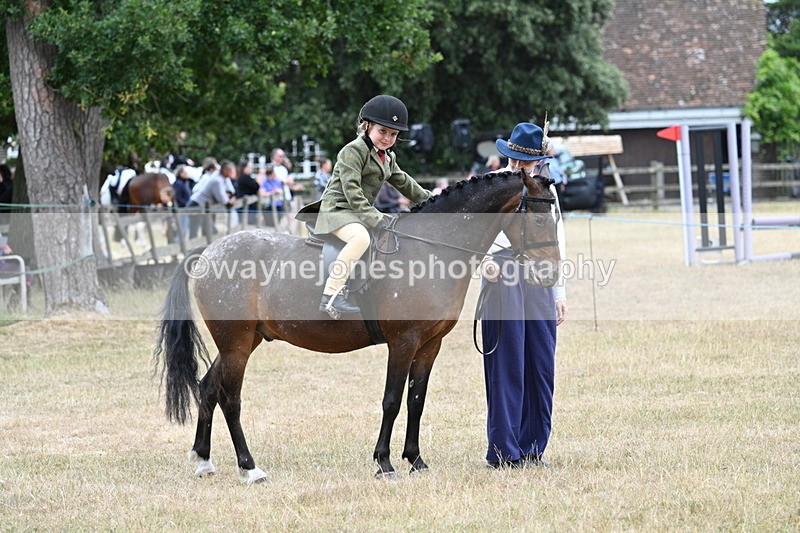 WJ7_0443 - Class 6 Ridden Mountain and Moorland