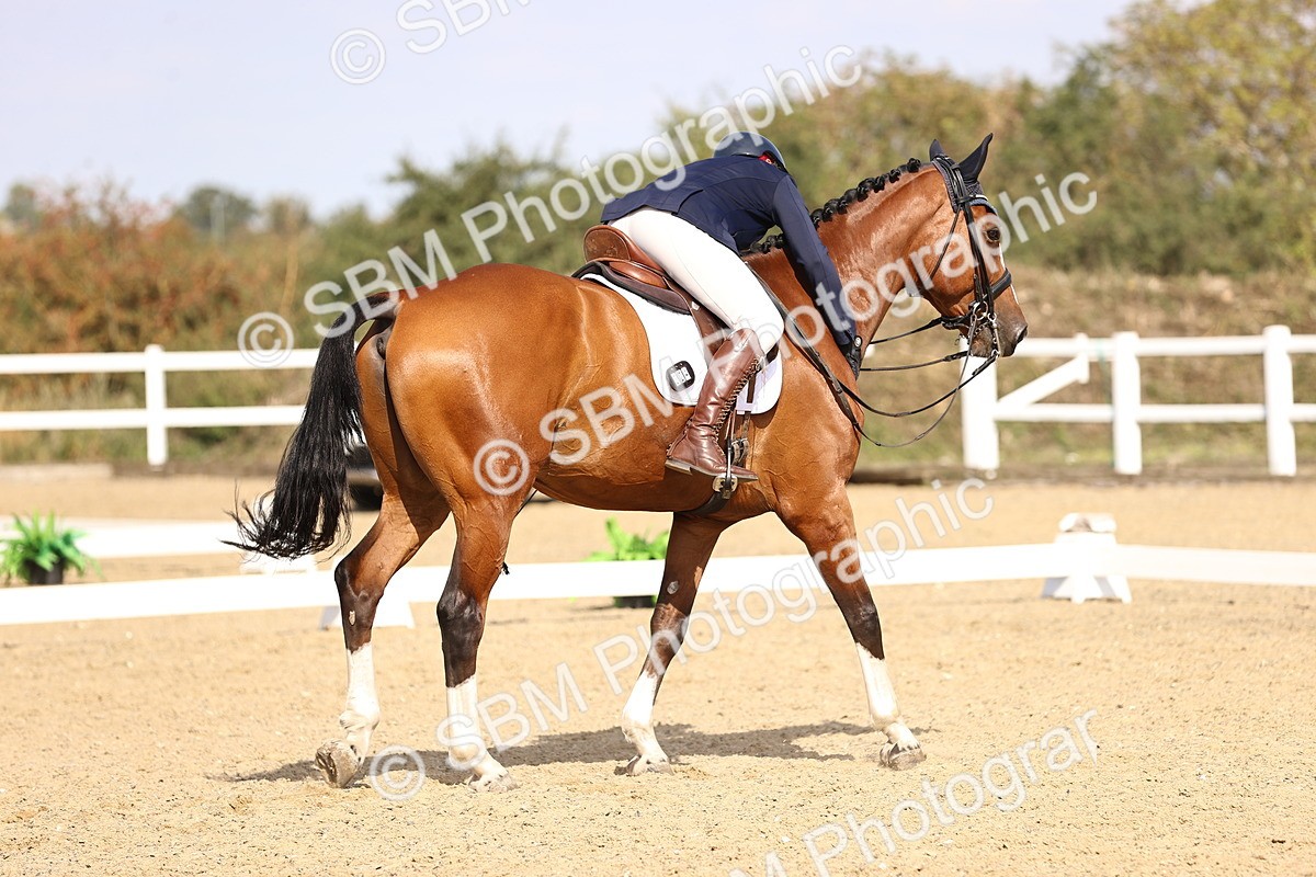 SBM_015215 - Class 8 - Medium 5